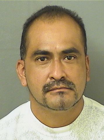 ALEJANDRO CAUDILLOORTEGA Results from Palm Beach County Florida for ALEJANDRO CAUDILLOORTEGA ALEJANDRO CAUDILLOORTEGA Results from Palm Beach County Florida for ALEJANDRO CAUDILLOORTEGA