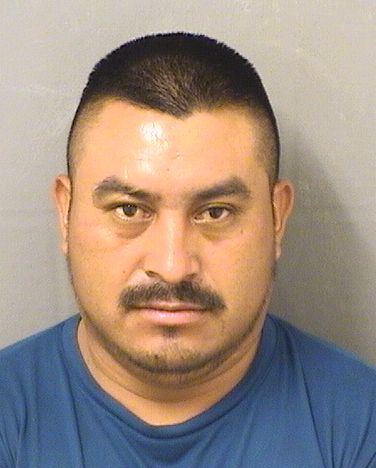  ANDRES TOMASMIGUEL Photo For  ANDRES TOMASMIGUEL