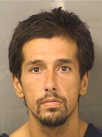  ADAM SONNY UWANAWICH Results from Palm Beach County Florida for  ADAM SONNY UWANAWICH