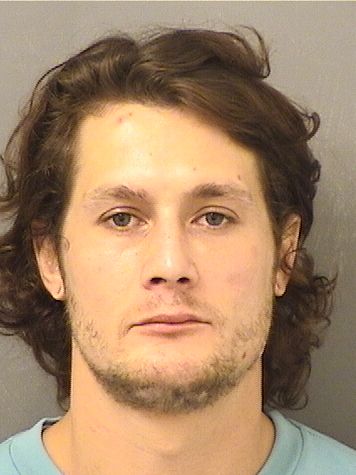  ANTHONY J OLIVIA Results from Palm Beach County Florida for  ANTHONY J OLIVIA