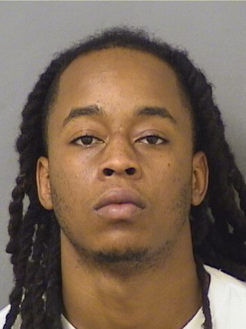  ERICSON RENE Results from Palm Beach County Florida for  ERICSON RENE