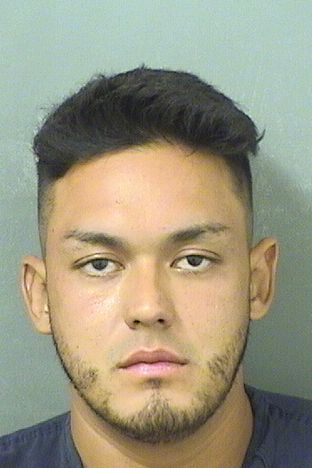  MARIO MORALES HERRERA Results from Palm Beach County Florida for  MARIO MORALES HERRERA