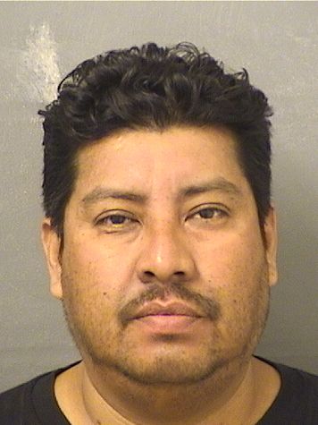  JOSE N GARCIA Results from Palm Beach County Florida for  JOSE N GARCIA