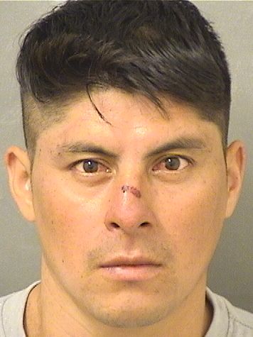 JOSE BENJAMIN HERNANDEZHERNANDEZ Photos For  JOSE BENJAMIN HERNANDEZHERNANDEZ  JOSE BENJAMIN HERNANDEZHERNANDEZ Photo For  JOSE BENJAMIN HERNANDEZHERNANDEZ