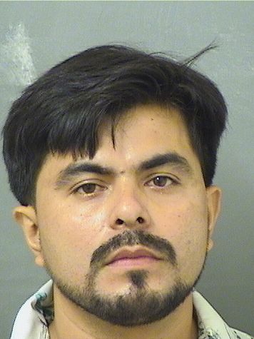  JARED MARTINEZMEJIA Results from Palm Beach County Florida for  JARED MARTINEZMEJIA