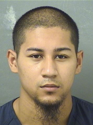  GABRAIL IAN GUERZONWATKINS Results from Palm Beach County Florida for  GABRAIL IAN GUERZONWATKINS