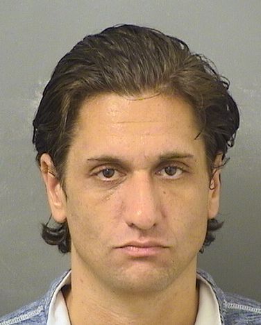  ZLATAN MUJAGIC Results from Palm Beach County Florida for  ZLATAN MUJAGIC