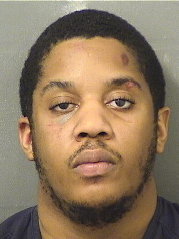  MICHAEL DAVIS Resultados de la busqueda para Palm Beach County Florida para  MICHAEL DAVIS