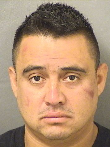  JIMMY EMERSON MARQUEZ Results from Palm Beach County Florida for  JIMMY EMERSON MARQUEZ