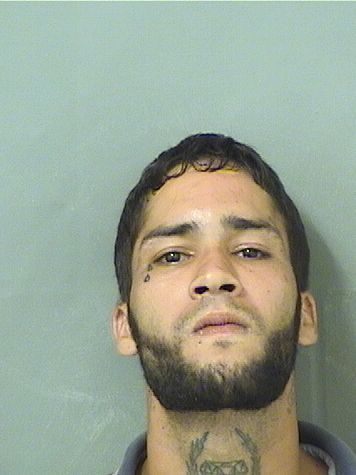  MIGUEL A VELEZDEJESUS Results from Palm Beach County Florida for  MIGUEL A VELEZDEJESUS