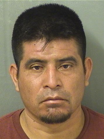 HORACIO BAUDILIO PEREZGONZALEZ Results from Palm Beach County Florida for HORACIO BAUDILIO PEREZGONZALEZ HORACIO BAUDILIO PEREZGONZALEZ Results from Palm Beach County Florida for HORACIO BAUDILIO PEREZGONZALEZ