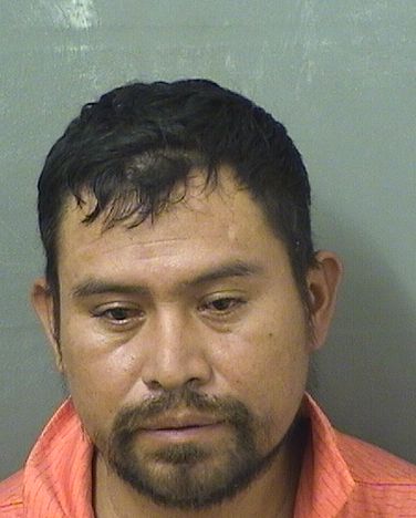  MARCELLO ORDONEZMENDEZ Results from Palm Beach County Florida for  MARCELLO ORDONEZMENDEZ