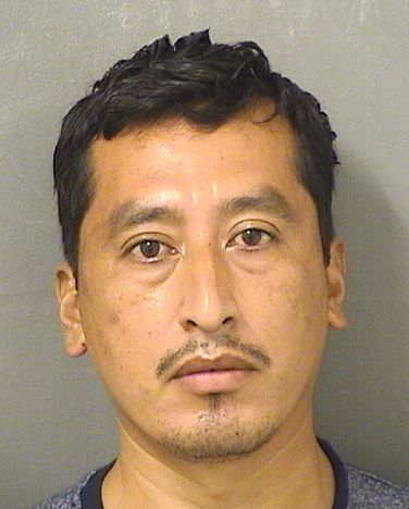  JULIO GOMEZPEREZ Results from Palm Beach County Florida for  JULIO GOMEZPEREZ