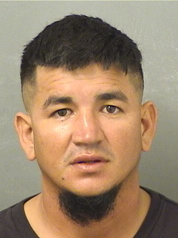  JUAN SANTOS ACEVEDOGUILLEN Results from Palm Beach County Florida for  JUAN SANTOS ACEVEDOGUILLEN