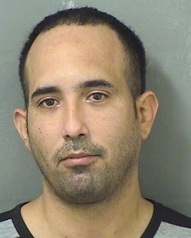  ERNESTO REYESFONSECA Results from Palm Beach County Florida for  ERNESTO REYESFONSECA