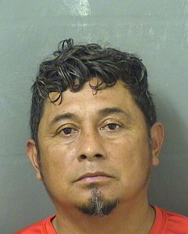  EPIFANIO ESTRADA NUNEZ Resultados de la busqueda para Palm Beach County Florida para  EPIFANIO ESTRADA NUNEZ