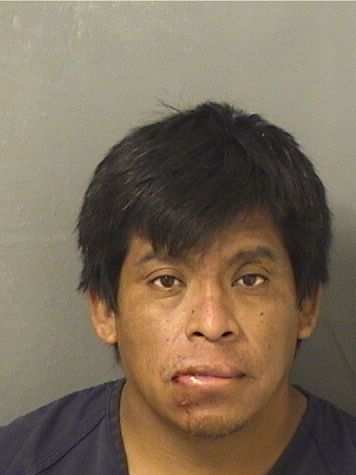  FRANSISCO SEBASTION JIMINEZ Photo