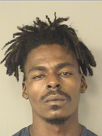  ERNST JOSEPH Results from Palm Beach County Florida for  ERNST JOSEPH