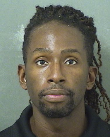  STEVEN LAVON Jr WILLIAMS Results from Palm Beach County Florida for  STEVEN LAVON Jr WILLIAMS