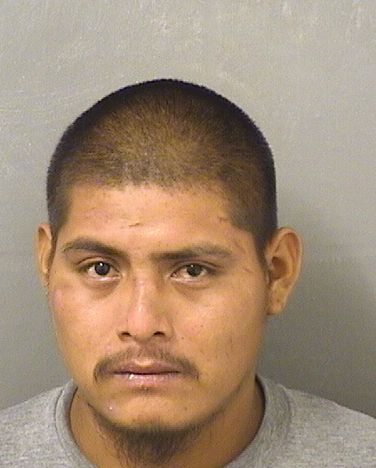  SANTIAGO FELIPELAINEZ Photo