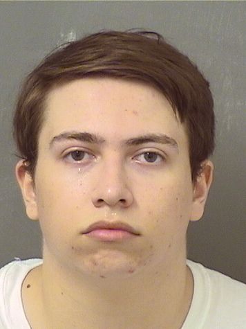  HAYDEN BRAM TRYANSKY Results from Palm Beach County Florida for  HAYDEN BRAM TRYANSKY