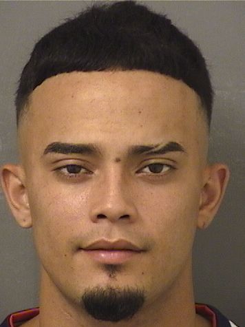  JAVIER ALBERTO MARTINEZVEGA Results from Palm Beach County Florida for  JAVIER ALBERTO MARTINEZVEGA