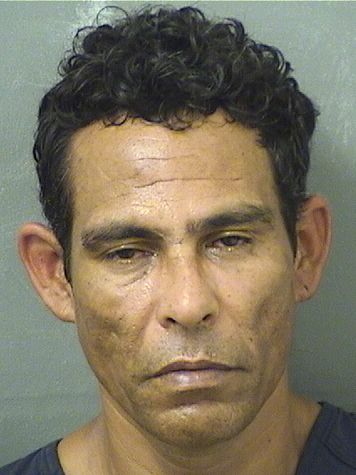  MARCOS ANTONIO IBANEZREYES Results from Palm Beach County Florida for  MARCOS ANTONIO IBANEZREYES