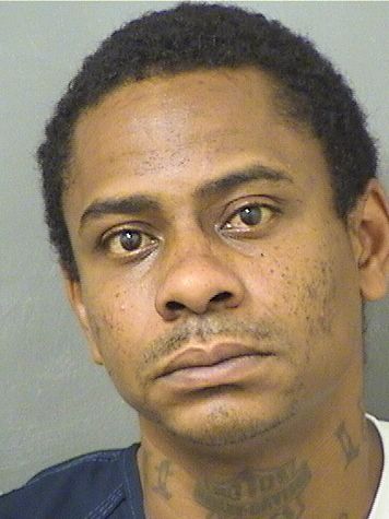  PHILLIP MICHAEL BRYANT Results from Palm Beach County Florida for  PHILLIP MICHAEL BRYANT