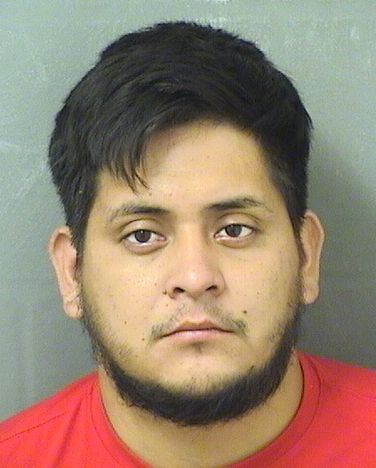  JOSE ARNOLD SORIANOMARTINEZ Results from Palm Beach County Florida for  JOSE ARNOLD SORIANOMARTINEZ