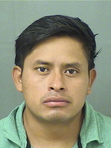  LUIS MARTINDELGADO Results from Palm Beach County Florida for  LUIS MARTINDELGADO