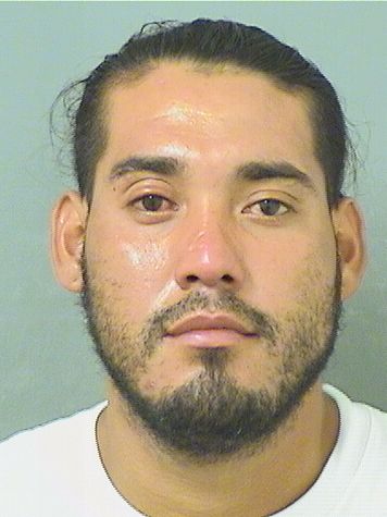  ERIC ALEXANDER JUSTIANOCRUZ Results from Palm Beach County Florida for  ERIC ALEXANDER JUSTIANOCRUZ