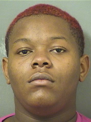  JAHIEM JAQUAN PAGE Results from Palm Beach County Florida for  JAHIEM JAQUAN PAGE