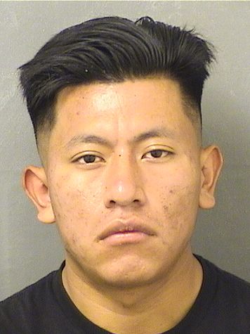  LUIS PUCASTRO Results from Palm Beach County Florida for  LUIS PUCASTRO