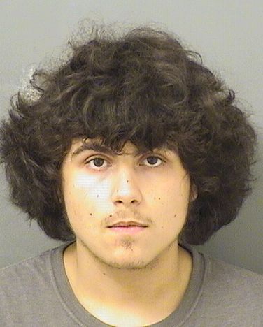  JORDAN ALEXANDER MASIERO Results from Palm Beach County Florida for  JORDAN ALEXANDER MASIERO