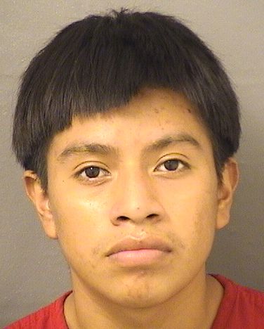  MANUEL MARCOS CARDONA Results from Palm Beach County Florida for  MANUEL MARCOS CARDONA