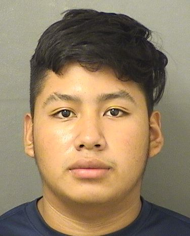  MARIO BRITOAJANAL Results from Palm Beach County Florida for  MARIO BRITOAJANAL