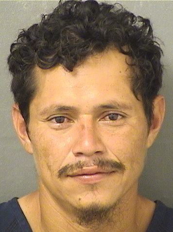  ELVIN JAVIER PADILLAMUNGUIA Results from Palm Beach County Florida for  ELVIN JAVIER PADILLAMUNGUIA