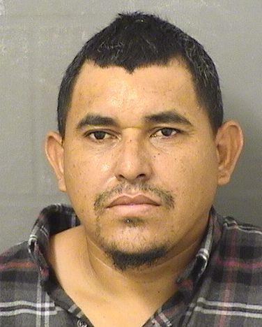  GERMAN FLORESGONZALES Results from Palm Beach County Florida for  GERMAN FLORESGONZALES