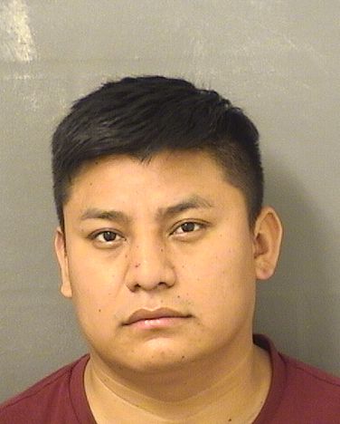  FRANCISCO GABRIEL CASTROGARCIA Results from Palm Beach County Florida for  FRANCISCO GABRIEL CASTROGARCIA