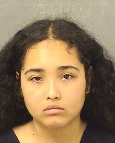  HANNAH E KHALIL Results from Palm Beach County Florida for  HANNAH E KHALIL