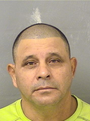  DANIEL ROACEPERO Photo For  DANIEL ROACEPERO