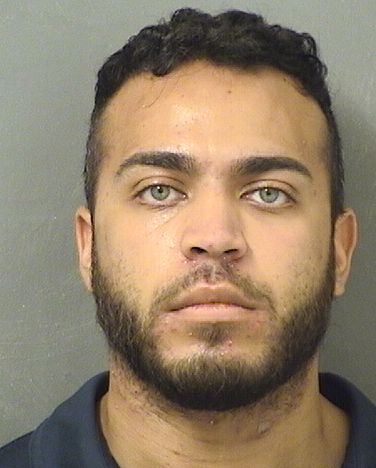  WILLY J POLANCO Results from Palm Beach County Florida for  WILLY J POLANCO