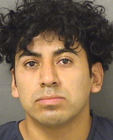  KERTIN FLORENCIO HERNANDEZLOPEZ Results from Palm Beach County Florida for  KERTIN FLORENCIO HERNANDEZLOPEZ