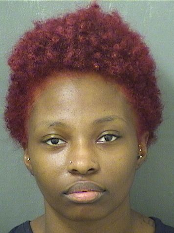  BRIANNA D WILLIAMS Results from Palm Beach County Florida for  BRIANNA D WILLIAMS