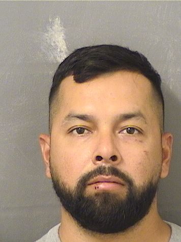  NORBERTO DAVID MELGARARROYO Results from Palm Beach County Florida for  NORBERTO DAVID MELGARARROYO