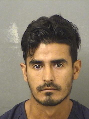  ANTONIO LOEZAAVILA Results from Palm Beach County Florida for  ANTONIO LOEZAAVILA