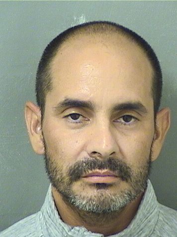  LUIS ROBERTO BRIONES Results from Palm Beach County Florida for  LUIS ROBERTO BRIONES