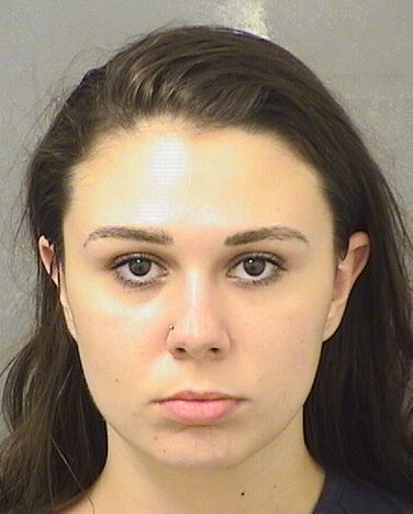 AMANDA L LUDWIGSON Results from Palm Beach County Florida for  AMANDA L LUDWIGSON