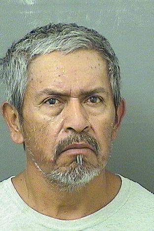  JUAN SANCHEZHERNANDEZ Results from Palm Beach County Florida for  JUAN SANCHEZHERNANDEZ