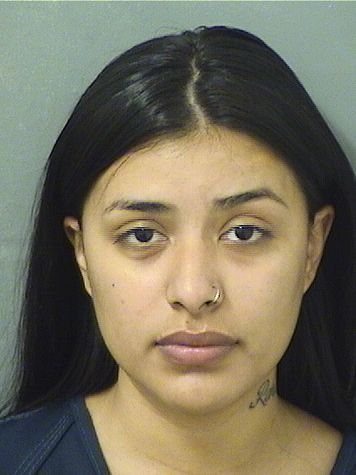  ROSA VUSTILLOS Results from Palm Beach County Florida for  ROSA VUSTILLOS